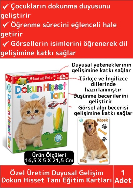 Premium Eğitici Duyusal Gelişim Görsel Algı Eğlenceli Öğrenme Çocuk Dokun Hisset Tanı Eğitim Kartlar