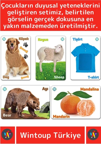 Premium Eğitici Duyusal Gelişim Görsel Algı Eğlenceli Öğrenme Çocuk Dokun Hisset Tanı Eğitim Kartlar fiyatları