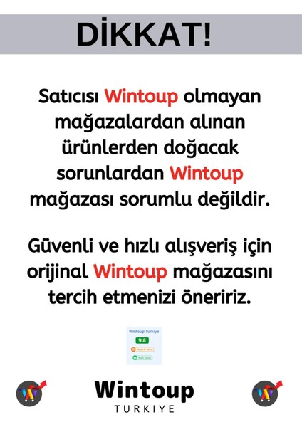 Premium Özel Kutulu Antik Gümüş Renk Canlılık Pozitiflik Dekoratif Karınca Bereket Duası Nar Boytu fırsatları