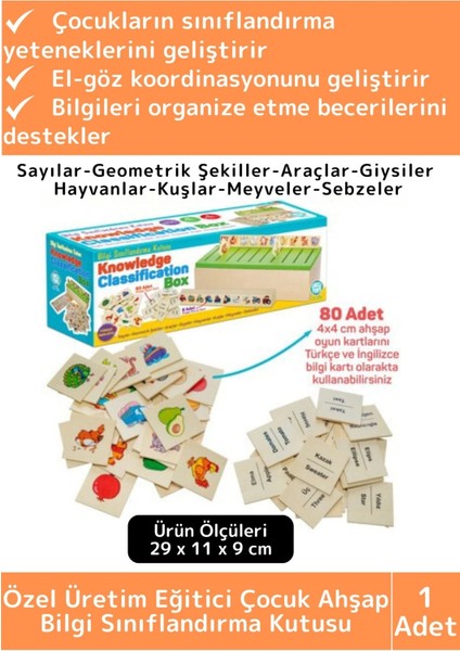Premium Eğitici Zeka Koordinasyon Geliştirici Kişisel Gelişim Çocuk Ahşap Bilgi Sınıflandırma Kutusu