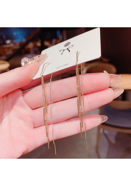 Popüler 925 Gümüş Iğne Küpe Klasik Geometrik Uzun Püskül Küpe (Yurt Dışından)