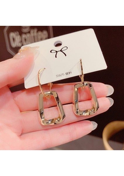 Popüler 925 Gümüş Iğne Küpe Klasik Geometrik Uzun Püskül Küpe (Yurt Dışından)