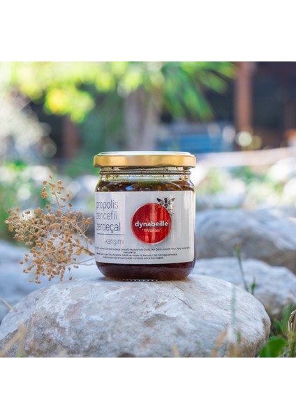 Propolis,Arı Sütü,Arı Poleni,Zencefil ve Zerdeçal Karışımı