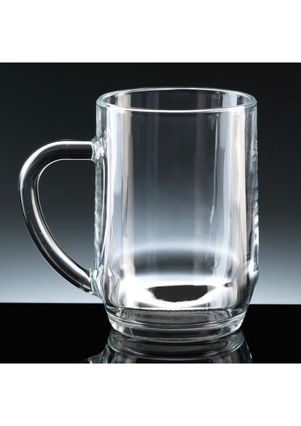 Haworth 590 ml Temperli Kulplu Kupa Bardak Şeffaf modelleri