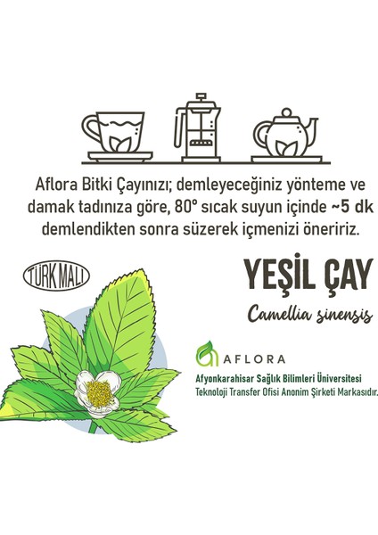 Yeşil Çay (Camellia Sinensis)