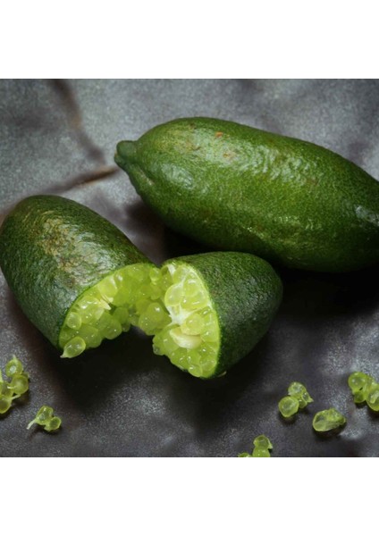 Finger Lime ( Özel Aşı Saksılı Bodur Avustralya Parmak Limonu)