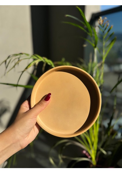 Hapatashop Yuvarlak Beton Sarı Yeşil Turuncu Lila Tepsi Sunumluk Dekoratif Tabak