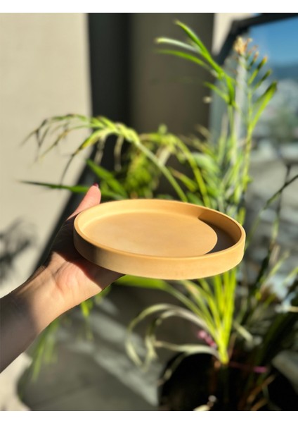 Hapatashop Yuvarlak Beton Sarı Yeşil Turuncu Lila Tepsi Sunumluk Dekoratif Tabak