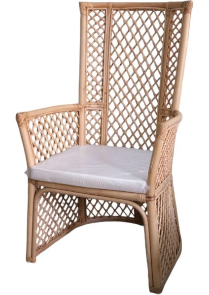 Çay Seti Tekli Rattan Koltuk Berjer ve Puf Takımı (Salon,balkon,ofis) Ikili Rattan Takım fırsatları