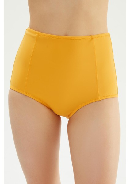 2512 Hardal Yüksek Bel Bikini Altı