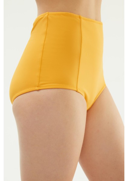 2512 Hardal Yüksek Bel Bikini Altı fiyatları