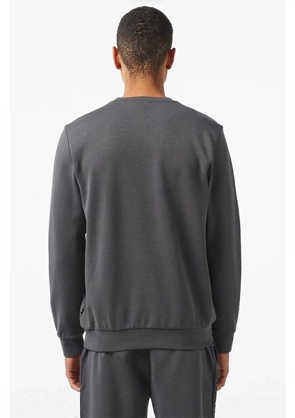 Erkek Gri Regular Fit Sweatshirt