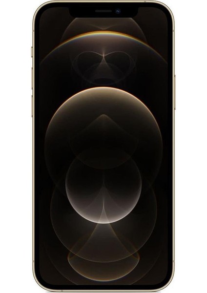 iPhone 12 Pro Max 128 GB Gold Yenilenmiş B Kalite (12 Ay Garantili) fiyatları
