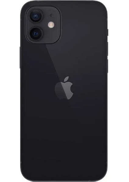 iPhone 12 128 GB Black Yenilenmiş C Kalite (12 Ay Garantili) fiyatları