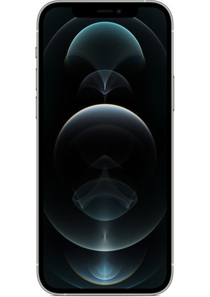 iPhone 12 Pro 128 GB Silver Yenilenmiş B Kalite (12 Ay Garantili) fiyatları