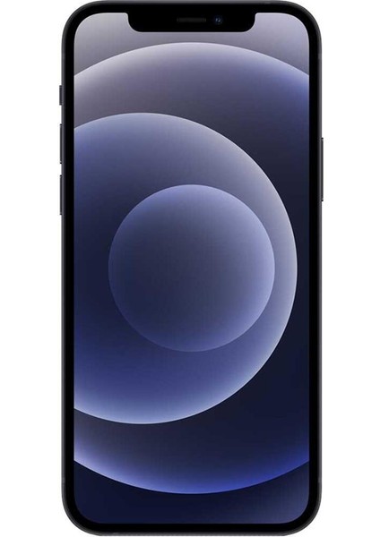 iPhone 12 64 GB Black Yenilenmiş B Kalite (12 Ay Garantili) fiyatları