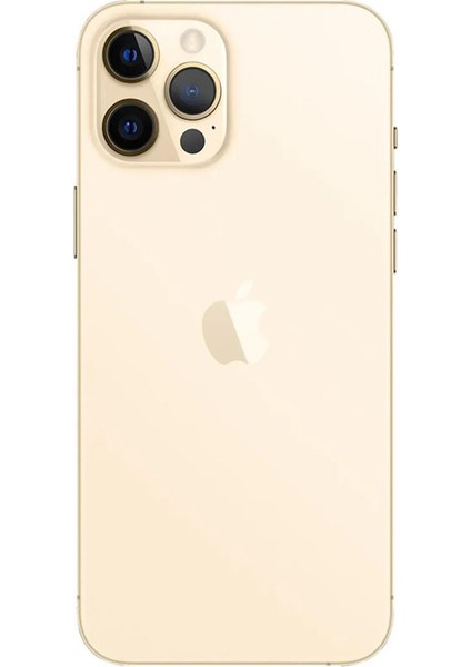 iPhone 12 Pro 128 GB Gold Yenilenmiş B Kalite (12 Ay Garantili) fiyatları