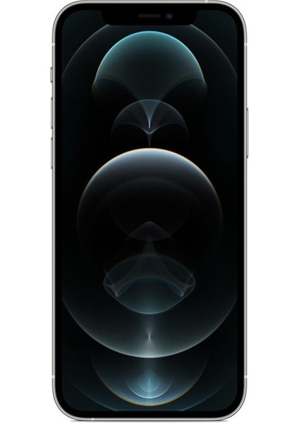 iPhone 12 Pro 256 GB Silver Yenilenmiş B Kalite (12 Ay Garantili) fiyatları