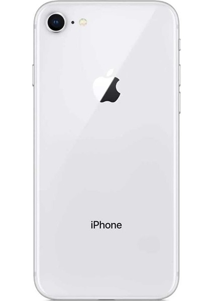 iPhone 8 64 GB Silver Yenilenmiş B Kalite (12 Ay Garantili) fiyatları