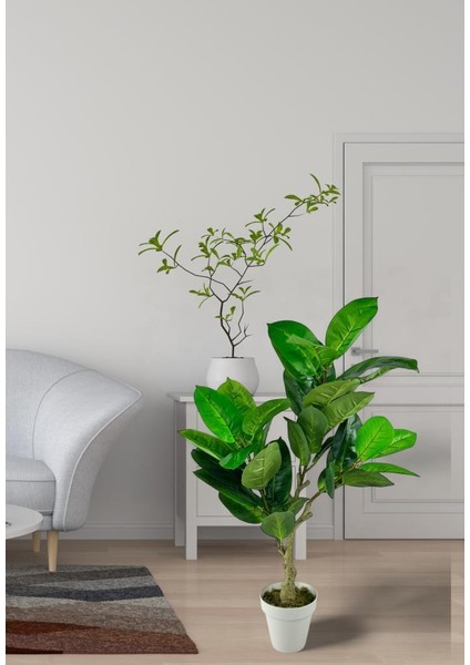Yapay Çiçek Kauçuk Ağacı 85 cm Salon Çiçeği Beyaz Saksılı Yapay Bitki