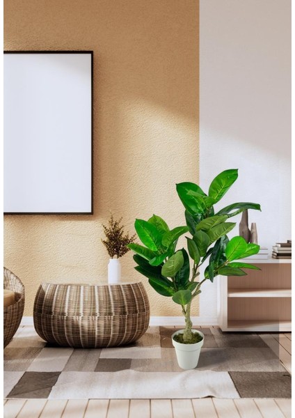 Yapay Çiçek Kauçuk Ağacı 85 cm Salon Çiçeği Beyaz Saksılı Yapay Bitki