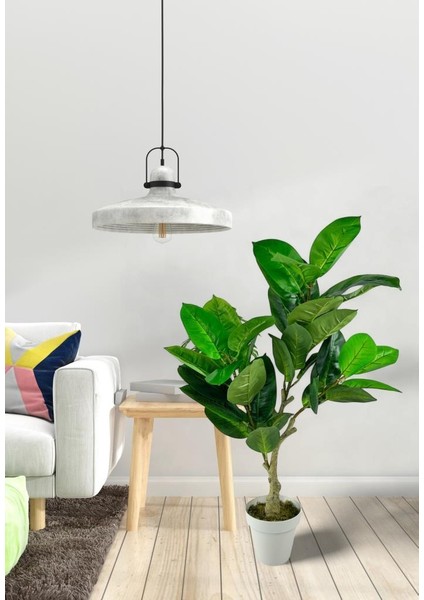 Yapay Çiçek Kauçuk Ağacı 85 cm Salon Çiçeği Beyaz Saksılı Yapay Bitki