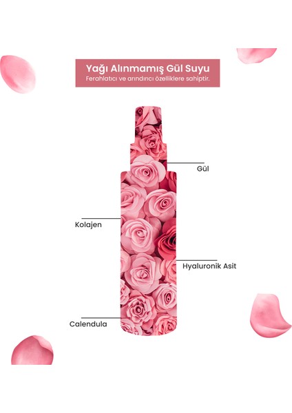 Aura Temizleyici ve Arındırıcı Tonik modelleri