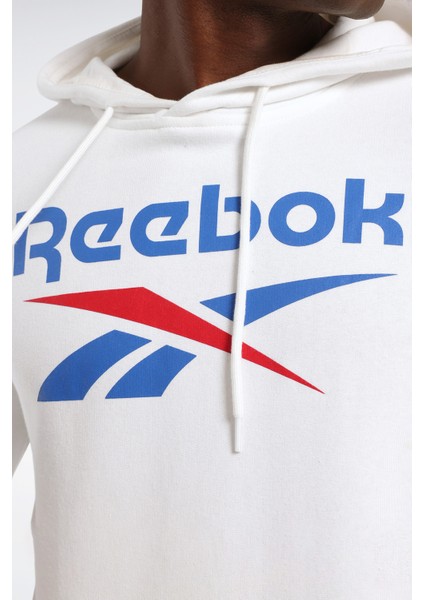 Rı Ft Big Logo Oth Hood Gri Erkek Sweatshirt