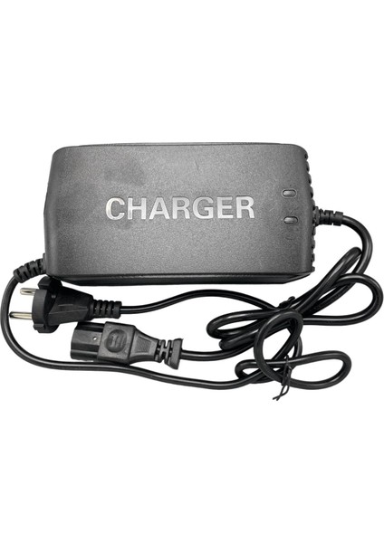 Ebike 60V 24AH Şarj Cihazı [ Devre Kesicili ] STL60