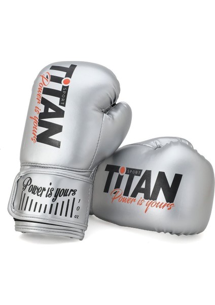 Gümüş (Silver) Rengi Boks Eldiveni 12 Oz