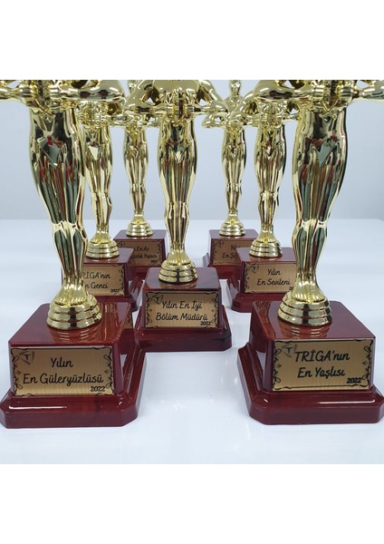 Kişiye Özel Oscar Heykeli fiyatları