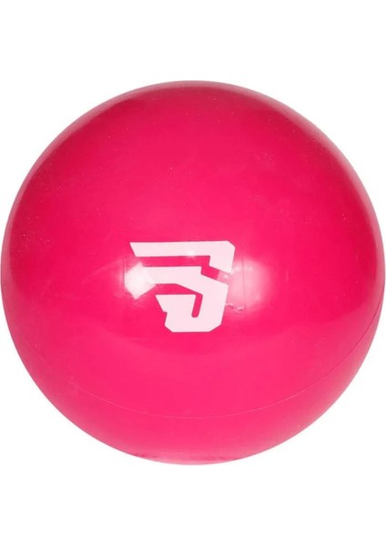 SPT-2764-NF - Pilates Topu 25CM fiyatları