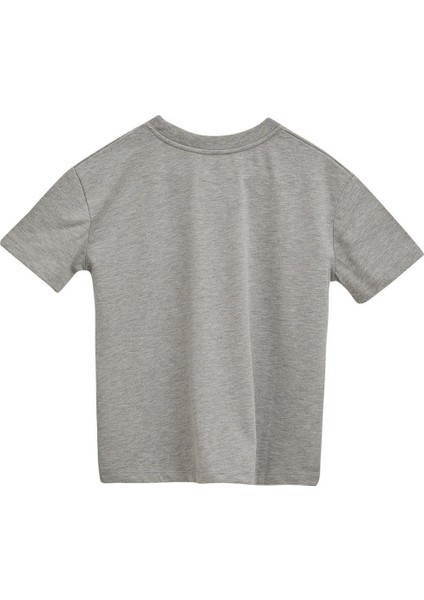 Grey Kadın T-Shirt M fiyatları