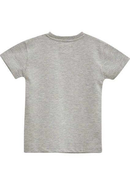 Grey Çocuk T-Shirt 3-4 Yaş modelleri