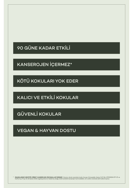Araba Klima Kokusu, Spin Oto Kokusu, Profesyonel Otomobil Kokusu - Energetic fırsatları