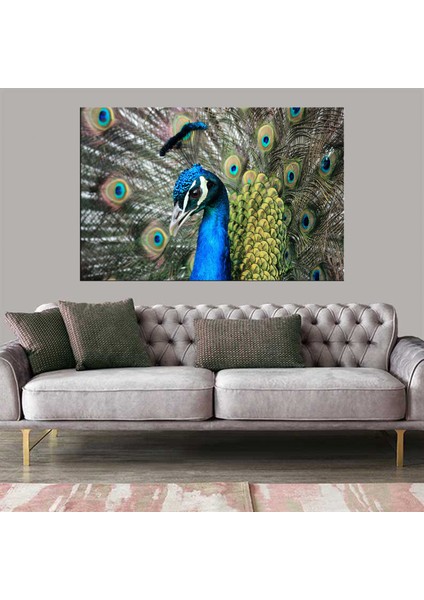 Exclusive Serie" Tavuskuşu Kanvas Tablo