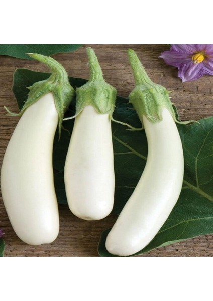 Casper Long Patlıcan Tohumu (15 Tohum)