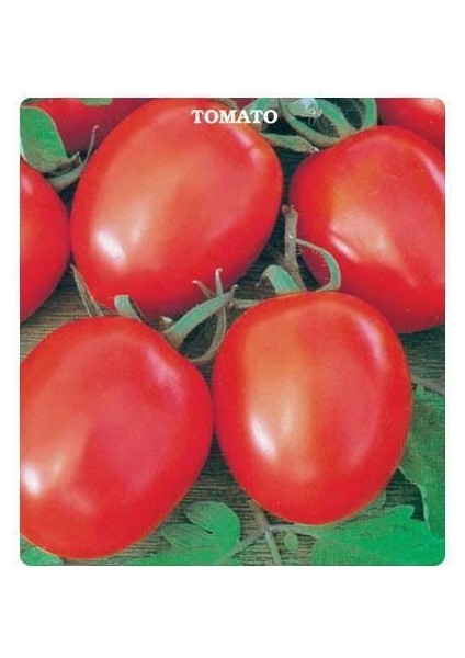 H-2274 Domates Tohumu (2 Gram)