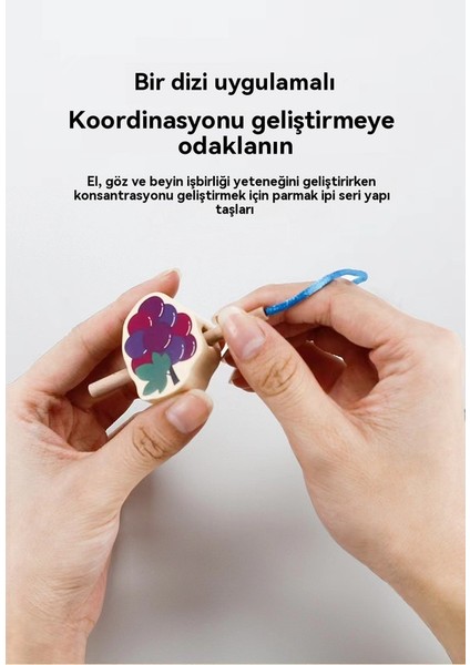 40 Büyük Parçacık Düzenleme Oyunu, Erken Eğitim, Hayvanlar, Sebze, Meyve, Taşıma, Elle Göz Koordinasyon Çalışmaları, String Inşaat Blokları (Yurt Dışından)