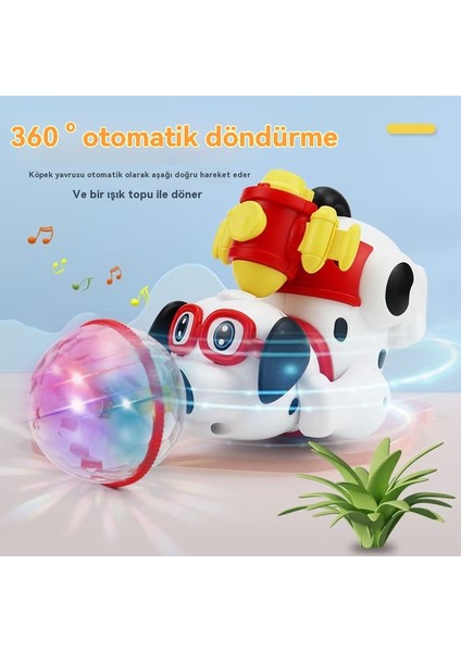 Çocukların Dönüştüğü Spray Köpeklerinin Elektrik Saçmalık Köpekleri Ilk Eğitim Oyuncakları Üzerinde Işık Müzik Yükseliyor. (Yurt Dışından)