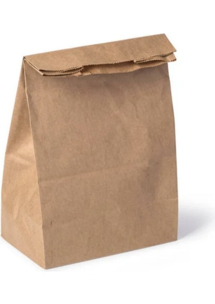 Taşıma Torbası 25X28X14CM 100 Adet