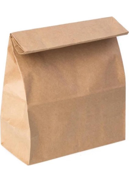 Taşıma Torbası 26X38X16CM 100 Adet