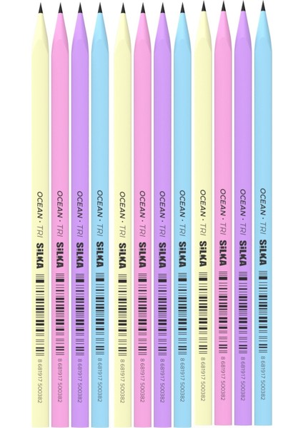 Kaly Üçgen Pastel Kurşun Kalem 12'li