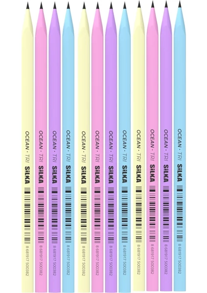 Kaly Üçgen Pastel Kurşun Kalem 12'li