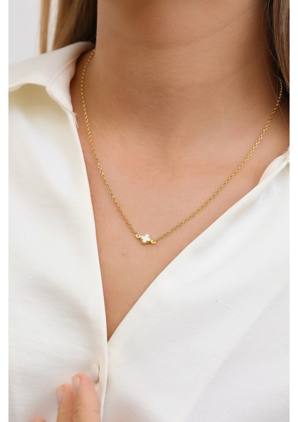 14 Ayar Altın Beyaz Yoncalı Kolye fiyatları