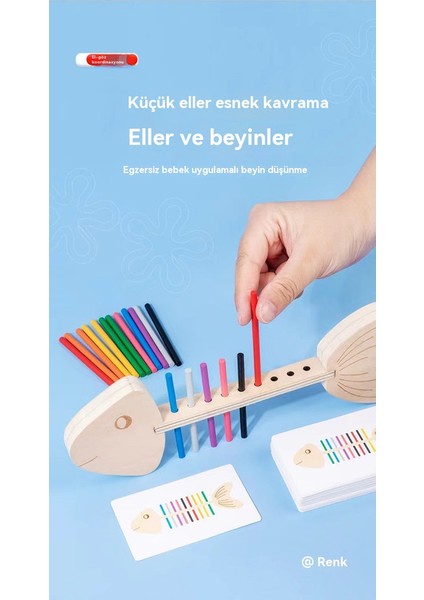 Balık Kemiği Montessori Güzel Motor Eğitimi Için Yardımcı Öğretiyor, Genç Çocuklar Için Renk Uyuşturucu, Montessori Çocukluğu Oyuncakları Için (Yurt Dışından)