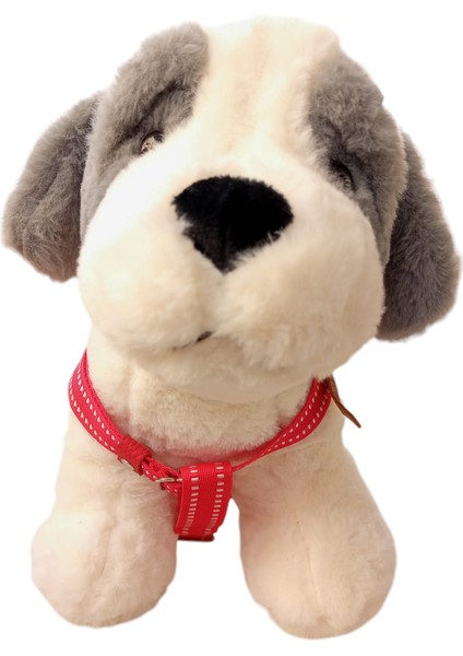 Köpek Göğüs tasması küçük ırk yumuşak kırmızı kolon göğüs ölçüsü:35-50cm ayarlamalı 5-15kg dog harnessGT3-41 fiyatları