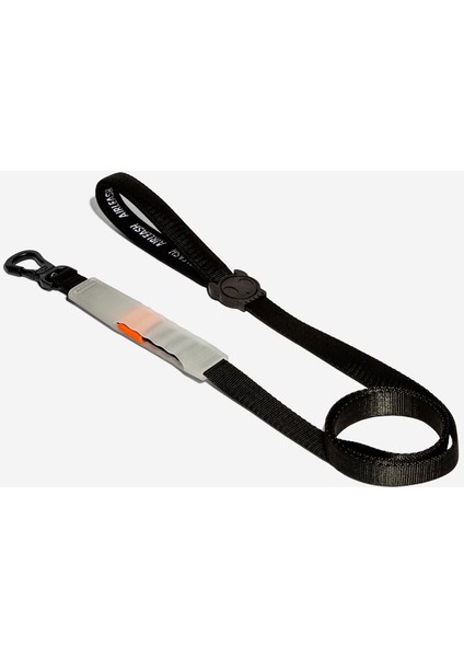 Classic Airleash Gezdirme Tasması - Zee.dog
