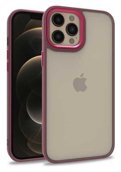 Apple iPhone 12 Pro Max Uyumlu Kılıf Sert Silikon Renkli Şerit Tasarımlı Parlak Flora Kapak, Kırmızı