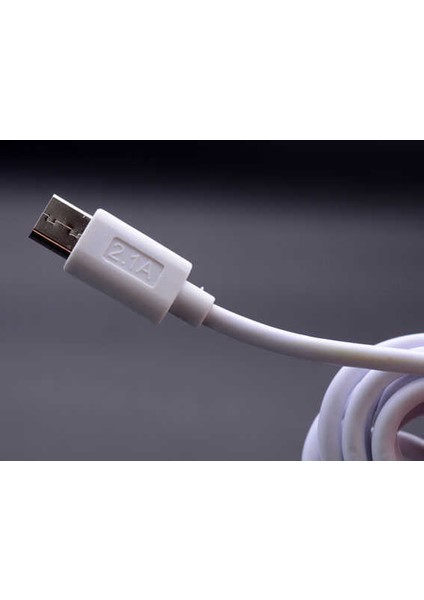 Metro Serisi ZR-TC01 Type-C 2 In 1 Şarj Seti indirimleri